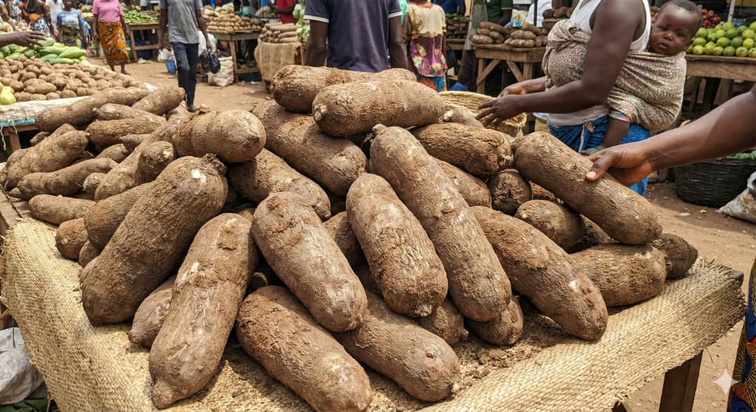 Yam Tubers
